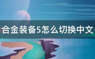  合金装备5 保存,合金装备5怎么切换中文？