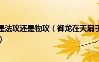  御龙在天法师装备攻略,御龙在天扇子加点？