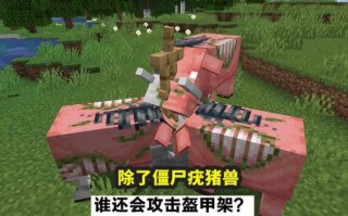  mc怎么让僵尸穿装备的衣服,我的世界fabric如何玩灾变？
