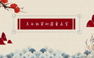  ,求一个网游霸气的名字？